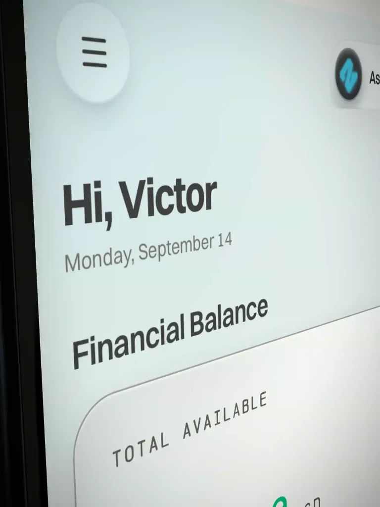 Nettu's mobile interface showing the financial dashboard.