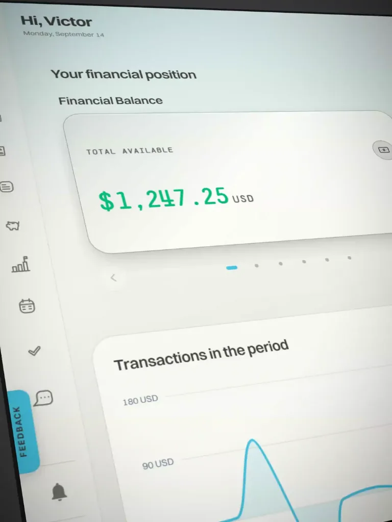 Nettu's web interface showing the financial dashboard.